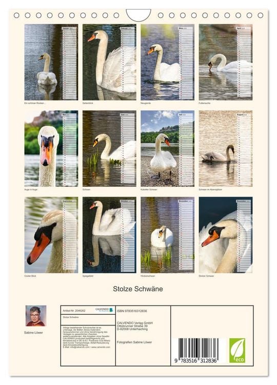 Produktbild: Stolze Schw&auml;ne (Wandkalender 2026 DIN A4 hoch), CALVENDO Monatskalender