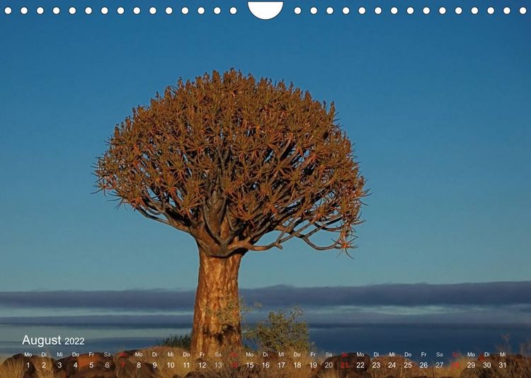Produktbild: S&uuml;dliches Afrika (Wandkalender 2022 DIN A4 quer)