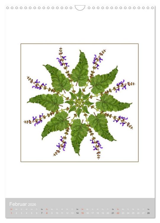 Produktbild: Pflanzen - Mandalas aus Bl&uuml;ten und Bl&auml;ttern (Wandkalender 2026 DIN A3 hoch), CALVENDO Monatskalender
