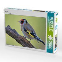 Produktbild: CALVENDO Puzzle Stieglitz 2000 Teile Lege-Gr&ouml;&szlig;e 90 x 67 cm Foto-Puzzle Bild von Dieter-M. Wilczek