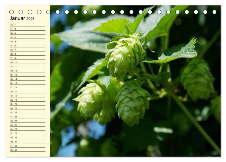 Produktbild: Bier. Die Kunst des Bierbrauens. Impressionen (Tischkalender 2026 DIN A5 quer), CALVENDO Monatskalender