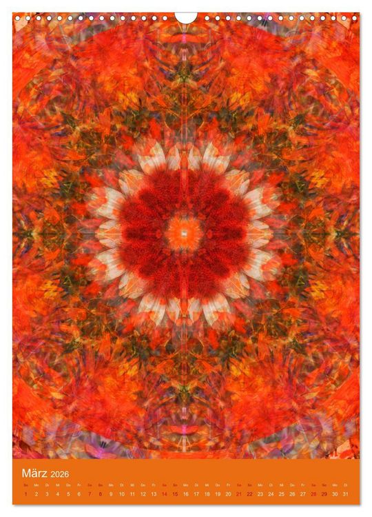 Produktbild: Meditative Pflanzenmandalas (Wandkalender 2026 DIN A3 hoch), CALVENDO Monatskalender