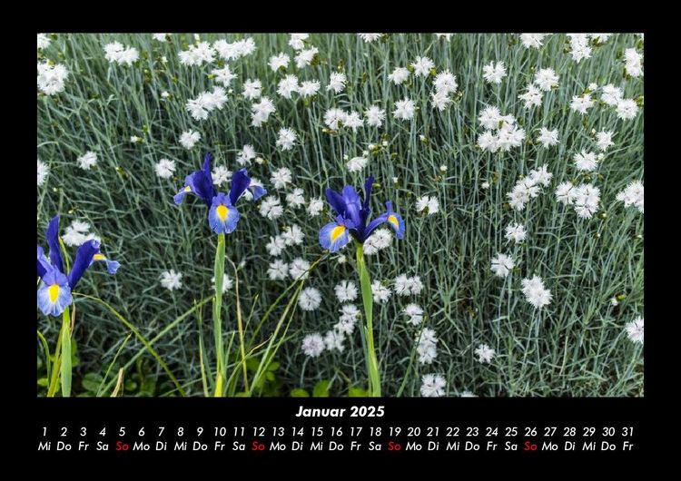 Produktbild: Blumenkalender 2025 Fotokalender DIN A3