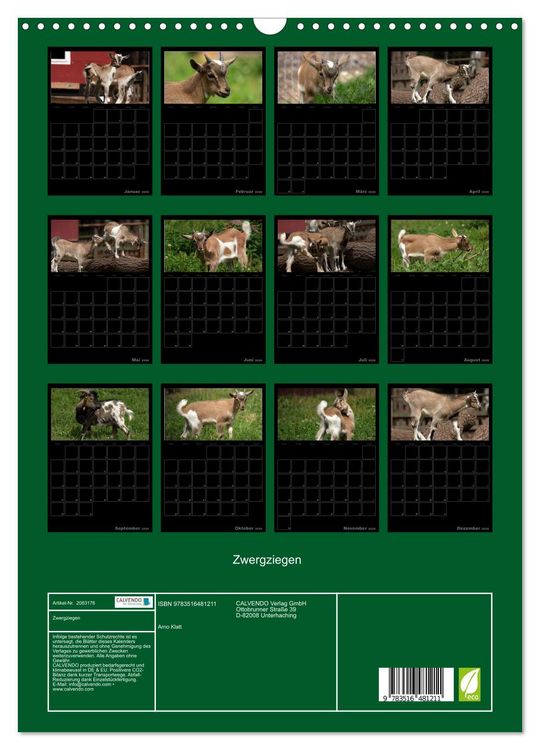 Produktbild: Zwergziegen (Wandkalender 2026 DIN A3 hoch), CALVENDO Monatskalender