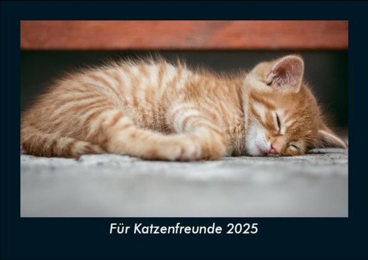 Produktbild: F&uuml;r Katzenfreunde 2025 Fotokalender DIN A5