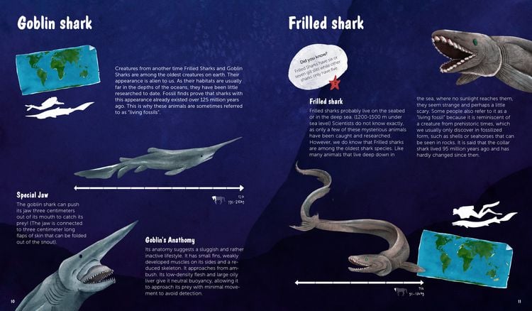 Produktbild: The World of Sharks