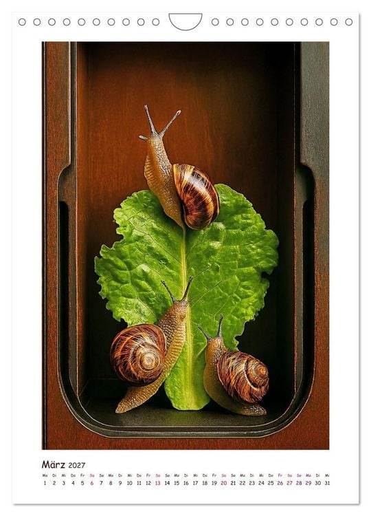 Produktbild: Wer f&auml;hrt denn da? Ein tierisches Paternoster Vergn&uuml;gen (Wandkalender 2027 DIN A4 hoch), CALVENDO Monatskalender