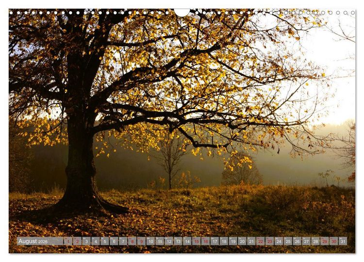 Produktbild: Wundersch&ouml;ne schw&auml;bische Alb (Wandkalender 2026 DIN A3 quer), CALVENDO Monatskalender