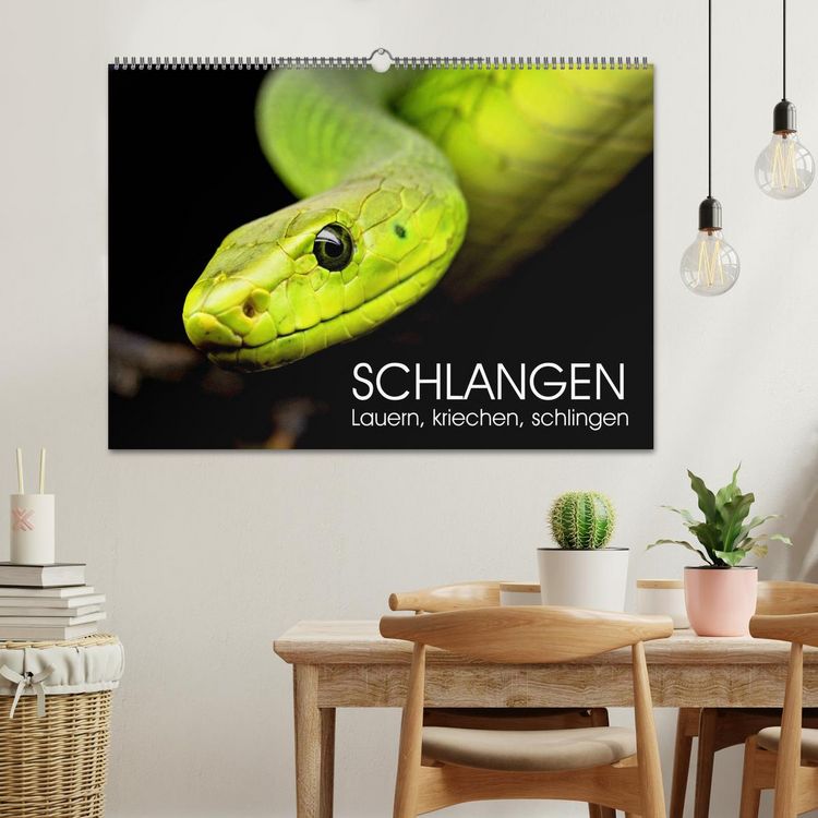 Produktbild: Schlangen. Lauern, kriechen, schlingen (Wandkalender 2026 DIN A2 quer), CALVENDO Monatskalender
