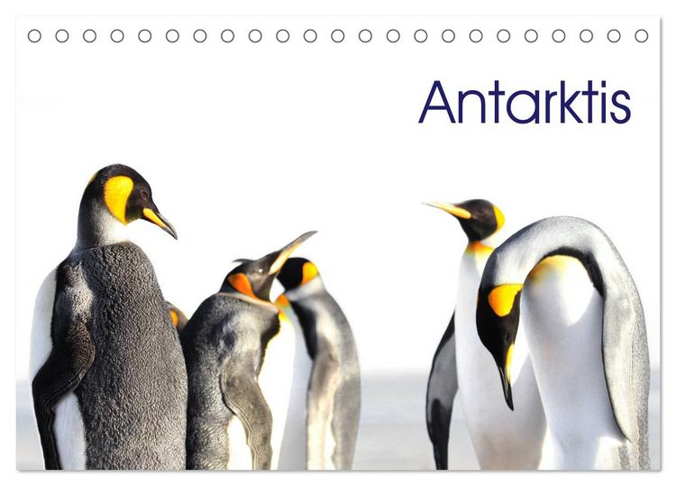 Produktbild: Antarktis - viaje.ch (Tischkalender 2026 DIN A5 quer), CALVENDO Monatskalender