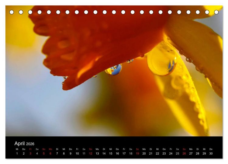 Produktbild: Wassertropfen (Tischkalender 2026 DIN A5 quer), CALVENDO Monatskalender
