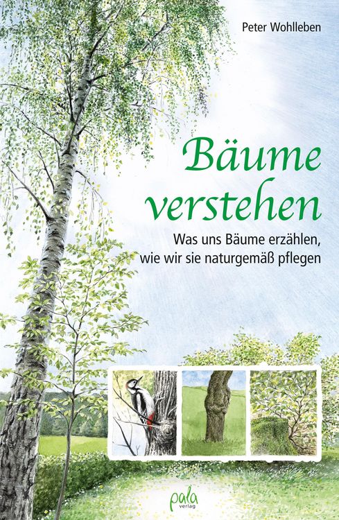 Produktbild: B&auml;ume verstehen