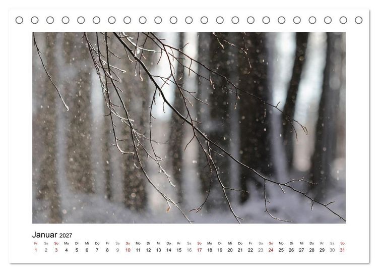 Produktbild: Naturkunstwerke (Tischkalender 2027 DIN A5 quer), CALVENDO Monatskalender