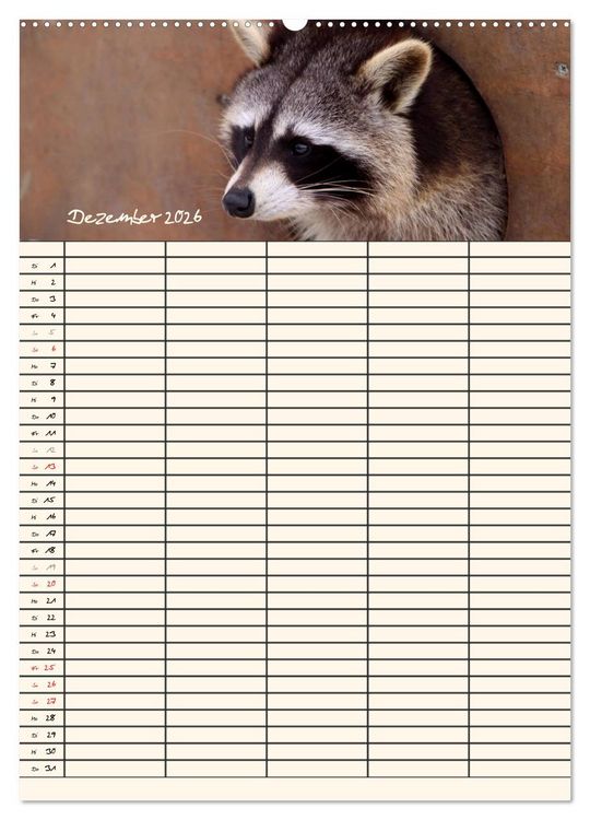 Produktbild: Waschb&auml;ren Familienplaner (Wandkalender 2026 DIN A2 hoch), CALVENDO Monatskalender