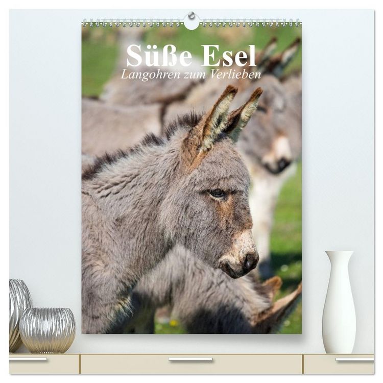 Produktbild: S&uuml;&szlig;e Esel. Langohren zum Verlieben (hochwertiger Premium Wandkalender 2026 DIN A2 hoch), Kunstdruck in Hochglanz