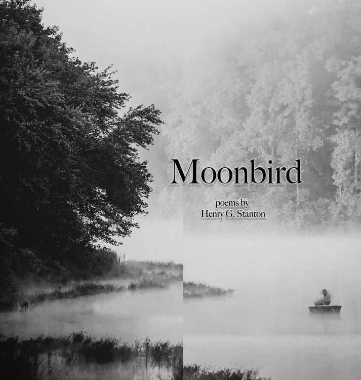 Produktbild: Moonbird