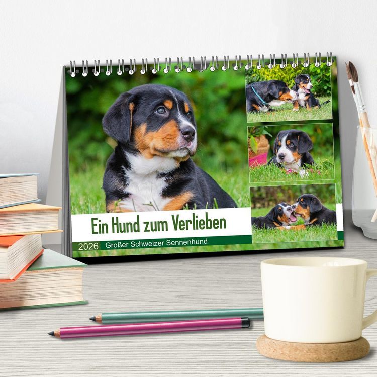 Produktbild: Ein Hund zum Verlieben - Gro&szlig;er Schweizer Sennenhund (Tischkalender 2026 DIN A5 quer), CALVENDO Monatskalender