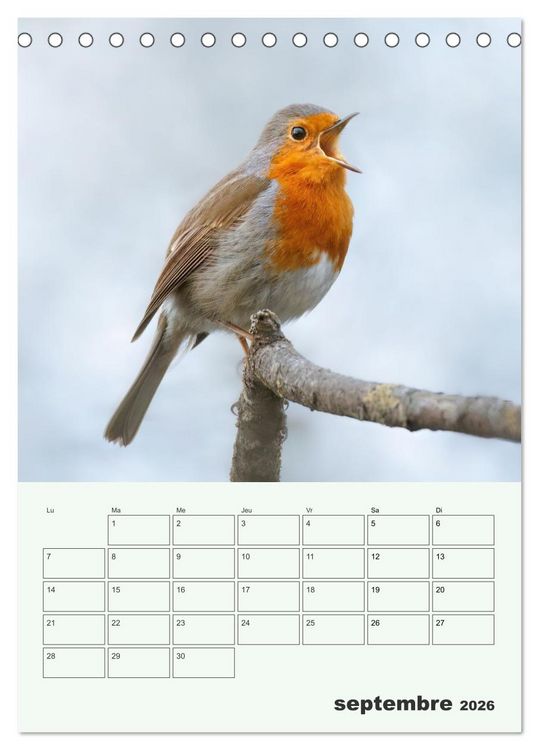 Produktbild: Voyage ornithologique (Calendrier de bureau 2026 DIN A5 horizontal), CALVENDO calendrier mensuel