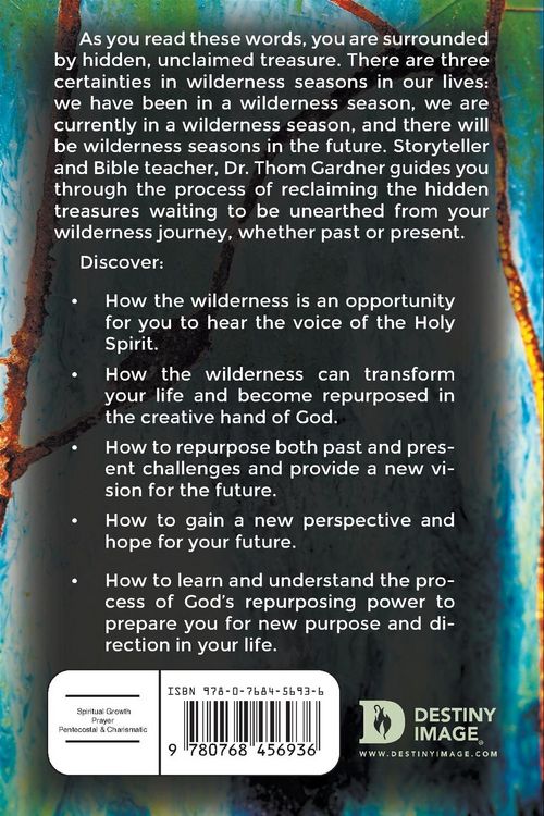 Produktbild: Beyond the Wilderness