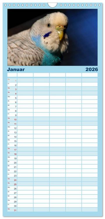 Produktbild: Familienplaner 2026 - Wellensittichtr&auml;ume - Der neue Wellensittich-Naturkalender mit 5 Spalten (Wandkalender, 21 x 45 cm) CALVENDO