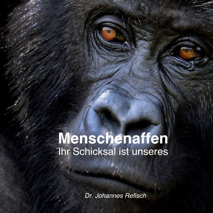 Produktbild: Menschenaffen