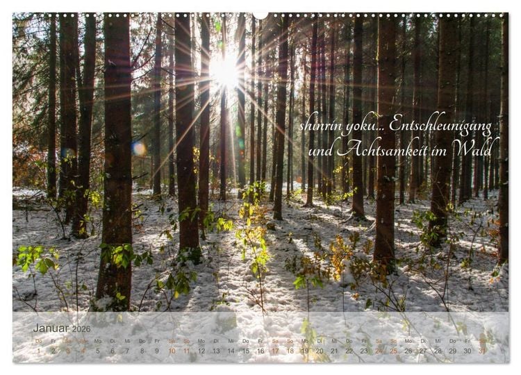 Produktbild: Shinrin yoku - Waldbaden 2026 (hochwertiger Premium Wandkalender 2026 DIN A2 quer), Kunstdruck in Hochglanz