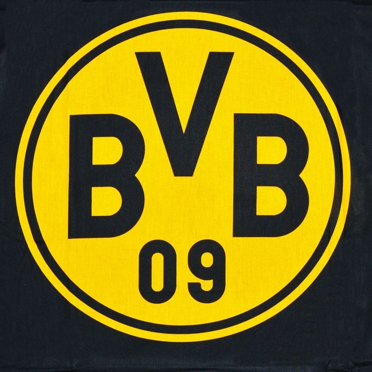 Produktbild: BVB 16802800 - BVB Bettw&auml;sche S&uuml;dtrib&uuml;ne, Baumwolle, 135x200cm/80x80cm, Borussia Dortmund 09