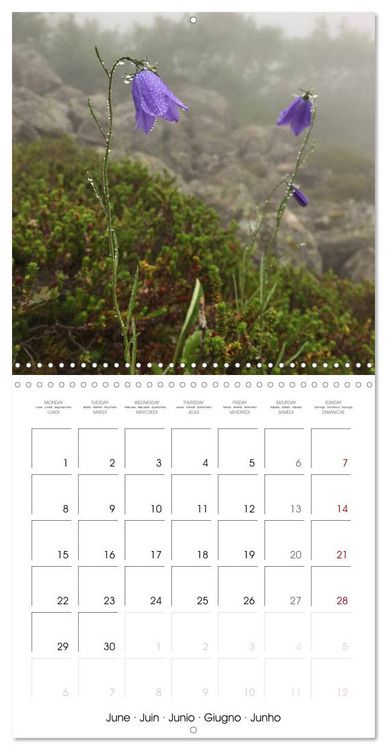 Produktbild: Norway Glory (Wall Calendar 2026 12 &times; 12 Inch) CALVENDO 12 Month Wall Calendar
