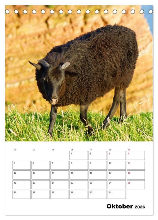 Produktbild: Einzigartige Insel Helgoland (Tischkalender 2026 DIN A5 hoch), CALVENDO Monatskalender