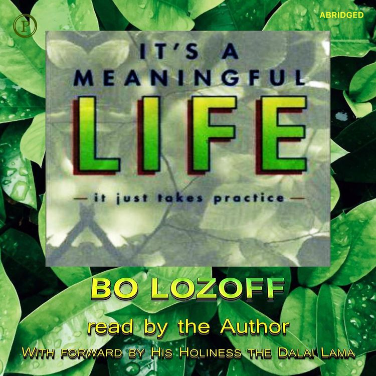 Produktbild: It's a Meaningful Life