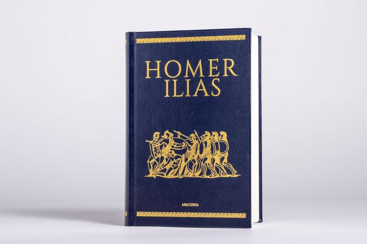 Produktbild: Homer, Ilias