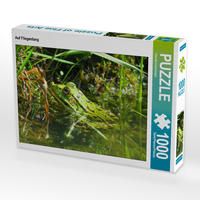 Produktbild: CALVENDO Puzzle Auf Fliegenfang | 1000 Teile Lege-Gr&ouml;&szlig;e 64x48cm Foto-Puzzle f&uuml;r gl&uuml;ckliche Stunden