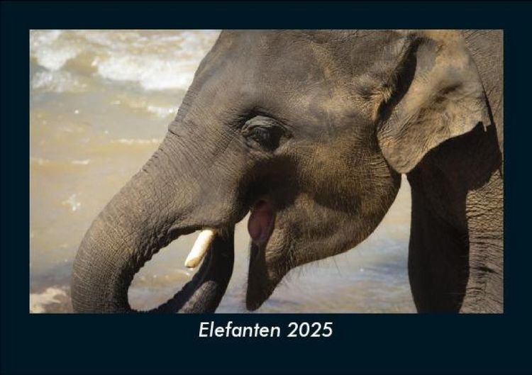 Produktbild: Elefanten 2025 Fotokalender DIN A5