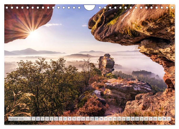 Produktbild: Bunter Pf&auml;lzerwald (Wandkalender 2026 DIN A4 quer), CALVENDO Monatskalender
