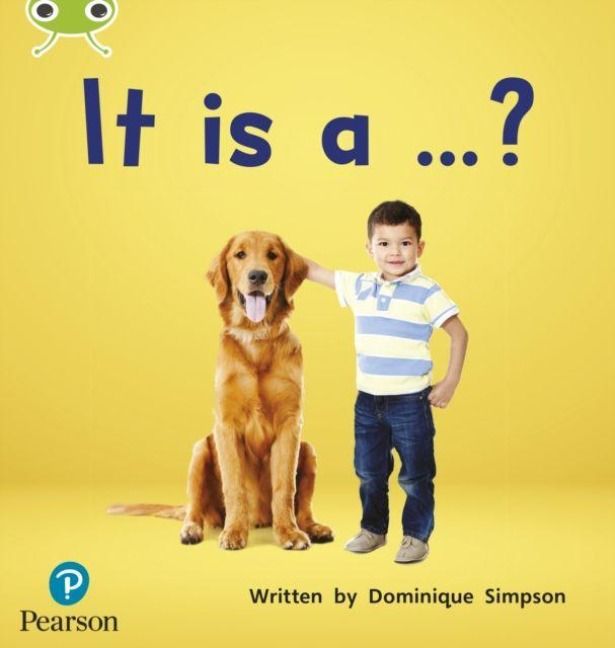Produktbild: Bug Club Phonics - Phase 2 Unit 3: It is a ...?