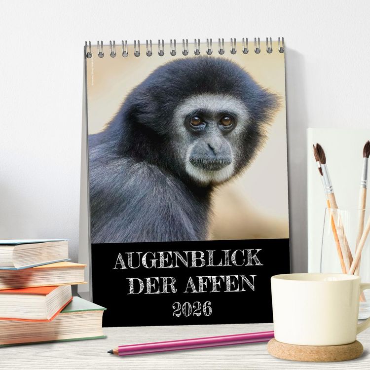 Produktbild: Augenblick der Affen 2026 (Tischkalender 2026 DIN A5 hoch), CALVENDO Monatskalender