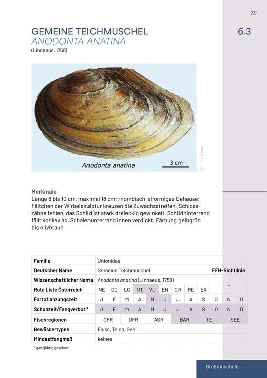 Produktbild: Neunaugen, Fische, Flusskrebse und Großmuscheln in Salzburg