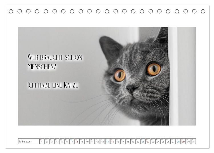 Produktbild: Katzenpower (Tischkalender 2026 DIN A5 quer), CALVENDO Monatskalender
