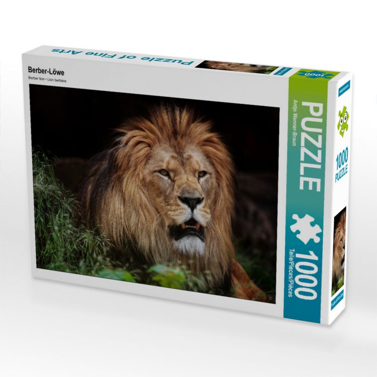 Produktbild: CALVENDO Puzzle Berber-L&ouml;we 1000 Teile Lege-Gr&ouml;&szlig;e 640 x 480 cm Foto-Puzzle Bild von Antje Wenner-Braun