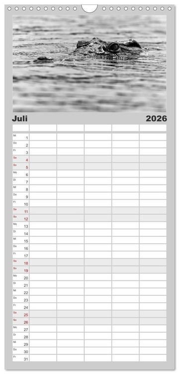 Produktbild: Familienplaner 2026 - Afrika Schwarz - Weiss mit 5 Spalten (Wandkalender, 21 x 45 cm) CALVENDO