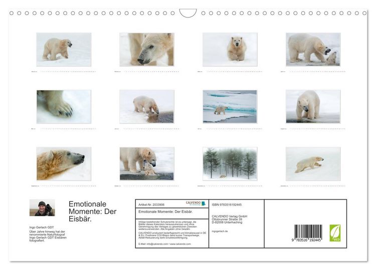 Produktbild: Emotionale Momente: Der Eisb&auml;r. (Wandkalender 2026 DIN A3 quer), CALVENDO Monatskalender