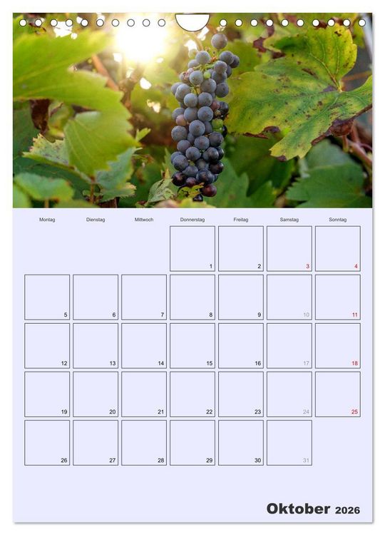Produktbild: Obst Kalender - GESUND DURCH DAS JAHR (Wandkalender 2026 DIN A4 hoch), CALVENDO Monatskalender