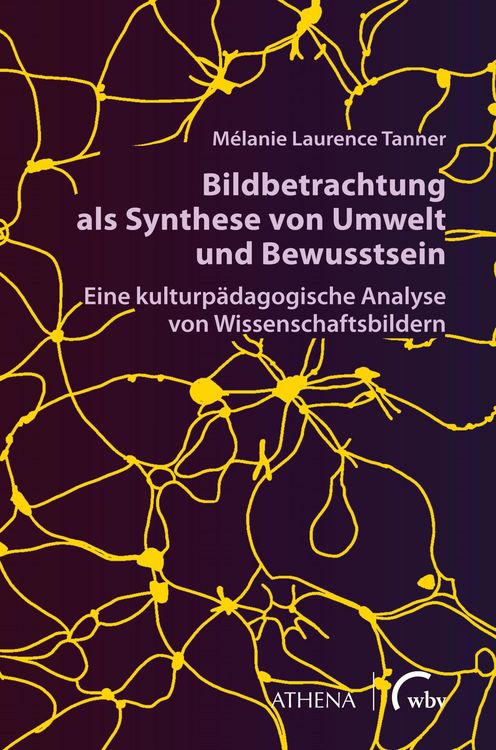 Produktbild: Bildbetrachtung als Synthese von Umwelt und Bewusstsein