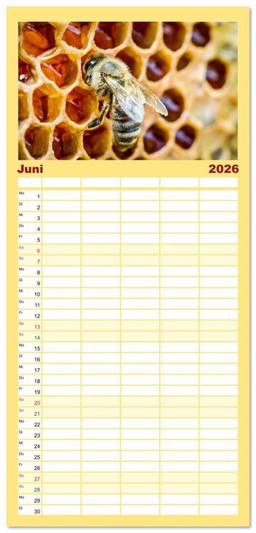 Produktbild: Familienplaner 2026 - HONIG - fl&uuml;ssiges Gold mit 5 Spalten (Wandkalender, 21 x 45 cm) CALVENDO