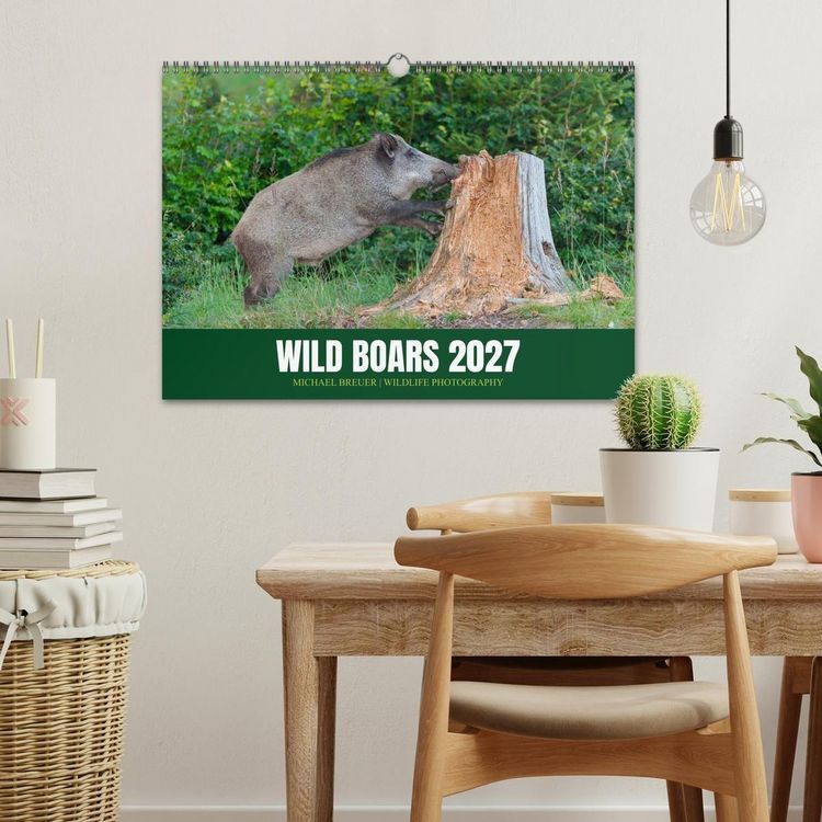 Produktbild: Wild Boars (Wall Calendar 2027 DIN A3 landscape), CALVENDO 12 Month Wall Calendar
