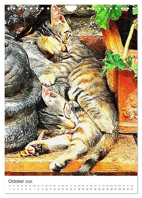 Produktbild: Umbrian Cats (Wall Calendar 2026 DIN A4 portrait), CALVENDO 12 Month Wall Calendar
