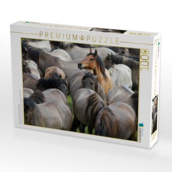 Produktbild: CALVENDO Puzzle Alles im Blick - D&uuml;lmener Wildpferde | 1000 Teile Lege-Gr&ouml;&szlig;e 64x48cm Foto-Puzzle f&uuml;r gl&uuml;ckliche Stunden