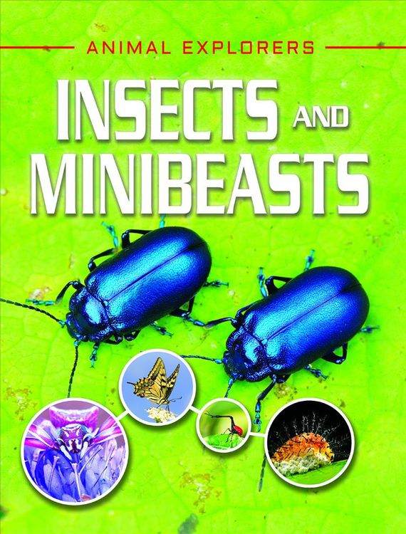 Produktbild: Insects & Minibeasts