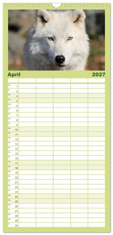 Produktbild: Familienplaner 2027 - W&ouml;lfe. Verwegene Anmut mit 5 Spalten (Wandkalender, 21 x 45 cm) CALVENDO