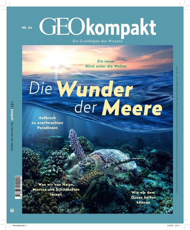 Produktbild: GEOkompakt / GEOkompakt 66/2021 - Die Wunder der Meere